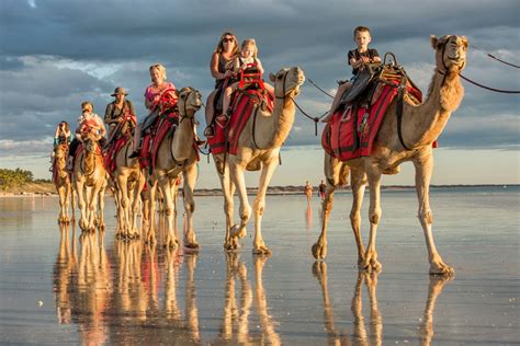 ICONIC CABLE BEACH CAMELS